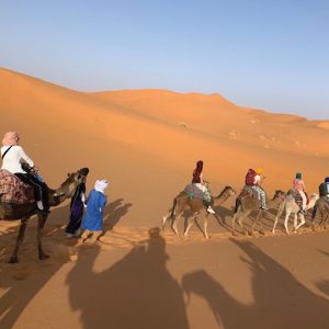 dessert with camels and people riding them