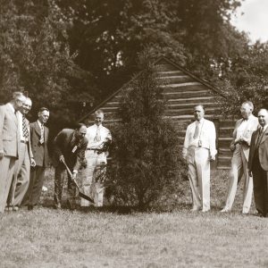 8 men wearing suits, standing next to a tree that was just planted