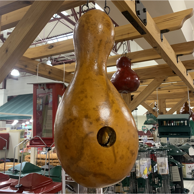 gourd with hole hanging in a hardware store
