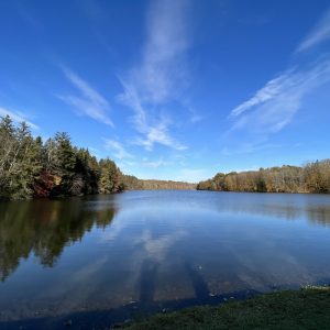 lake, blue sky and trees