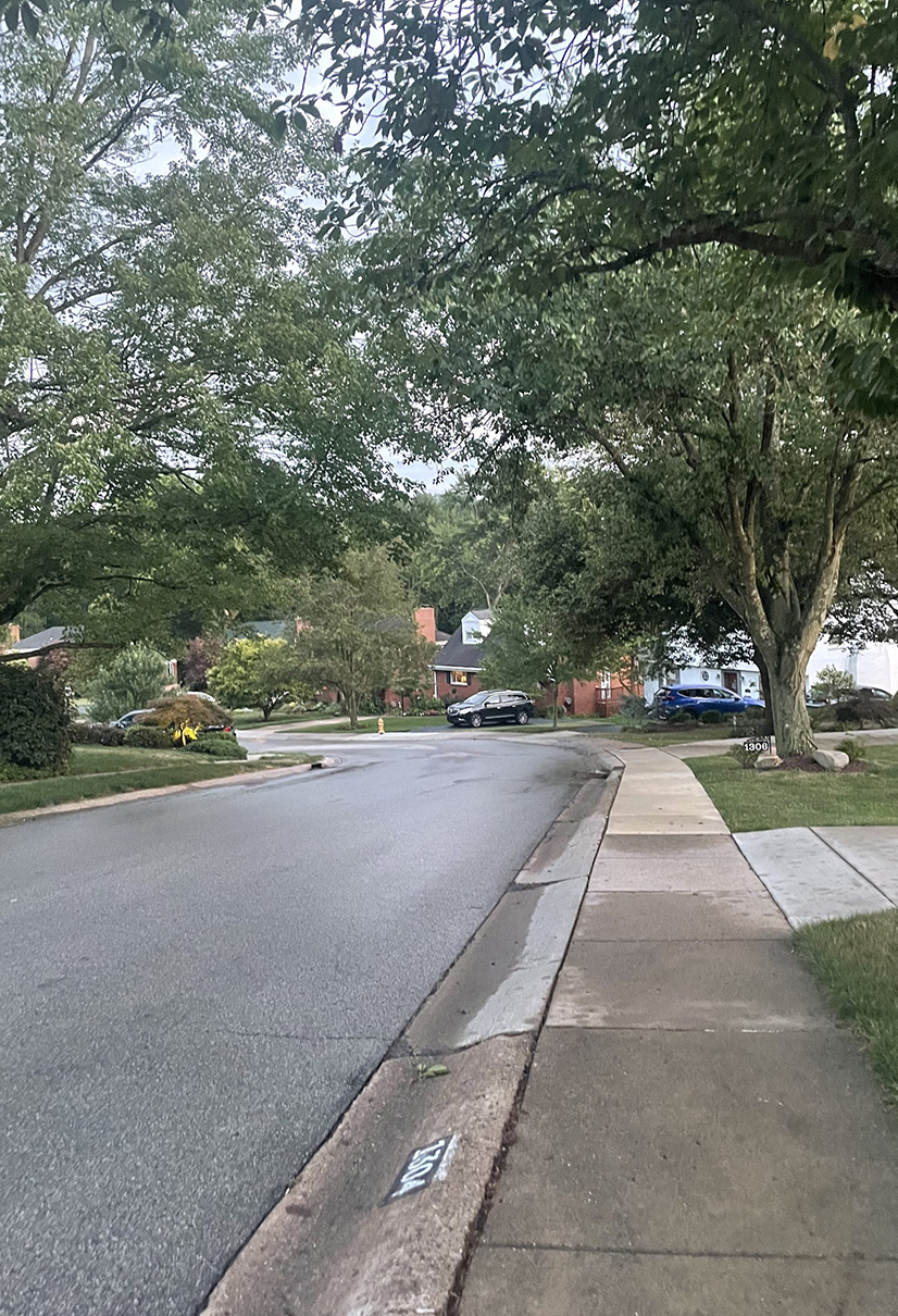 suburban street with trees