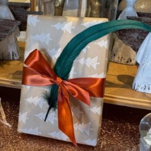 a book wrapped in gold gift wrapping with a red bow and green feather