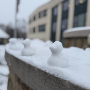 snow shaped into ducks