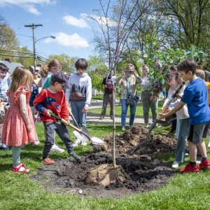 Several kids using shovels to bury and plant a tree, many adults are in the background supervising and taking photos