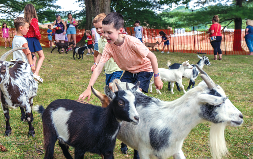 a young boy and a few other kids, in a petting zoo petting goats, there are people standing off to the side in the background