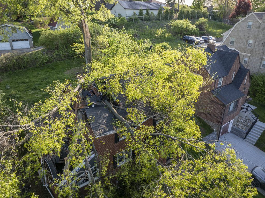 aerial view of damage to a home. tree fell through the roof