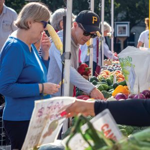 people shopping at an outdoor farmers market