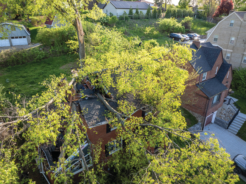 A tree that fell on a house and you can see the house has buckled and taken damage
