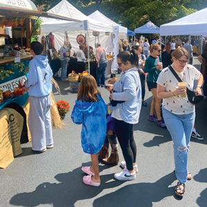 A crowd walking around to different booths at the Anawanda Arts festival