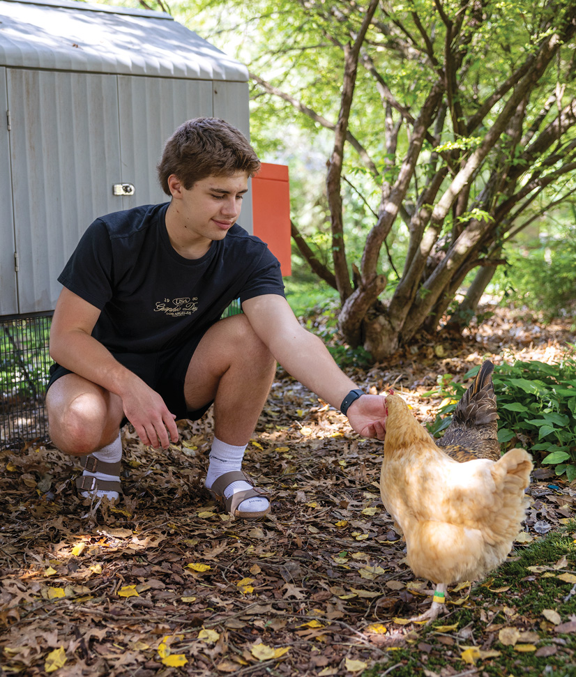 a teenage boy with short dark hair, kneeling down outside feeding a tan colored hen out of his hand.
