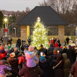 crowd gathered around lit Christmas tree