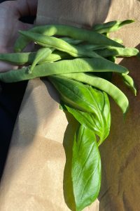 snap peas and basil