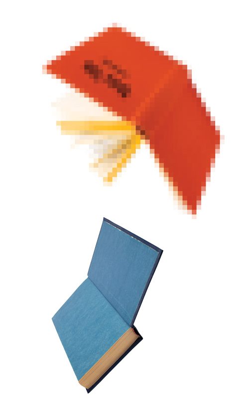 low resolution censored books