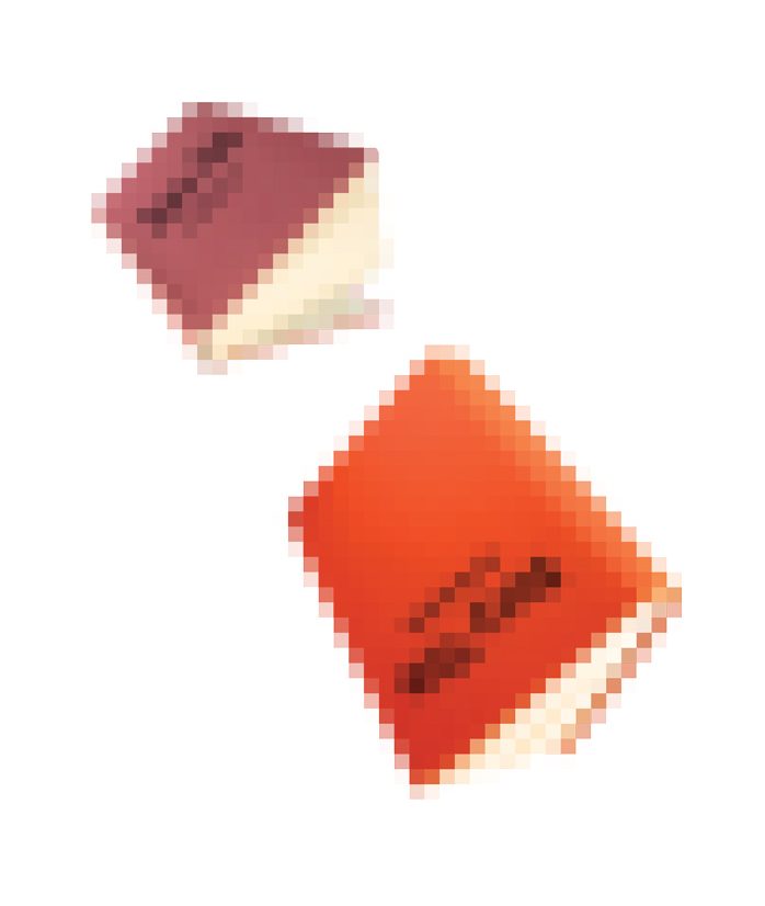 low resolution censored books