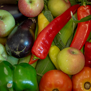 Close up shot of a mix of fresh produce; green and red peppers, eggplant, tomatoes, and apples.