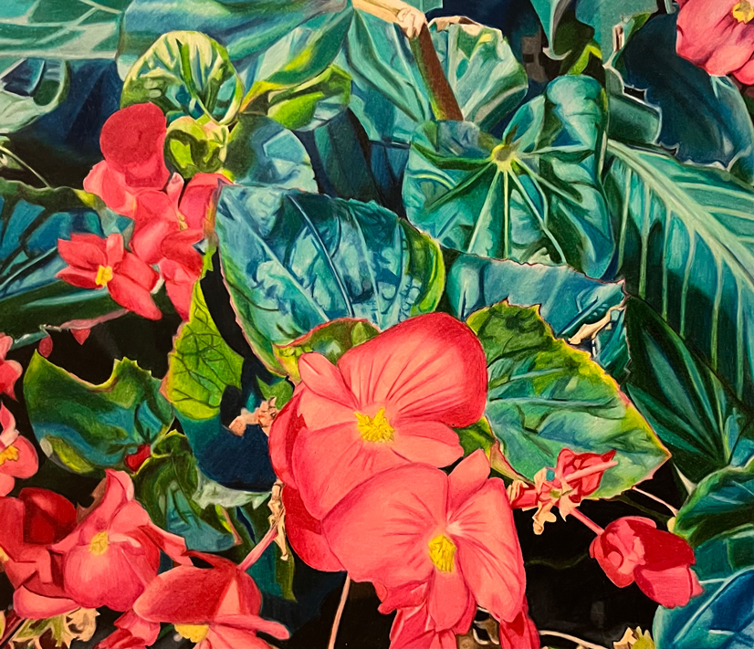A painting of bright red flowers with yellow centers, and dark green and blue leaves, behind a black background