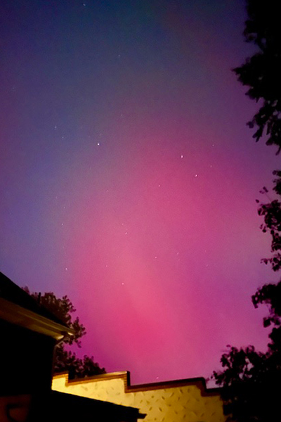 Pink and purple Northern Lights light up the night time sky. Silhouette of tree leaves and rooftops can be seen in the foreground.