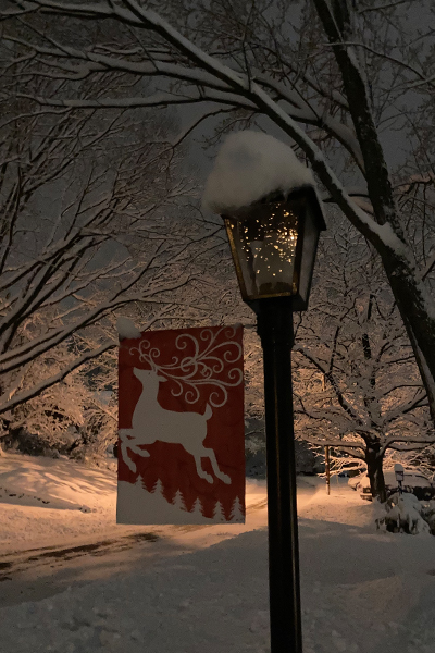 A night time scene with a snow covered light post with a red banner attached to the left side with a large white illustration of a deer in the middle. A snow covered street and trees can be seen in the background.