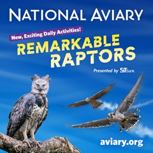 national aviary, new exciting daily activities, remarkable raptors, aviary.org, ad